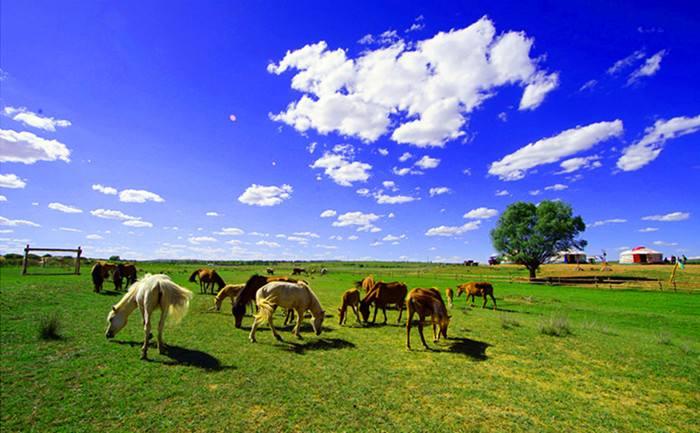 内蒙古,草原瑰宝与文化熔炉的交响乐章