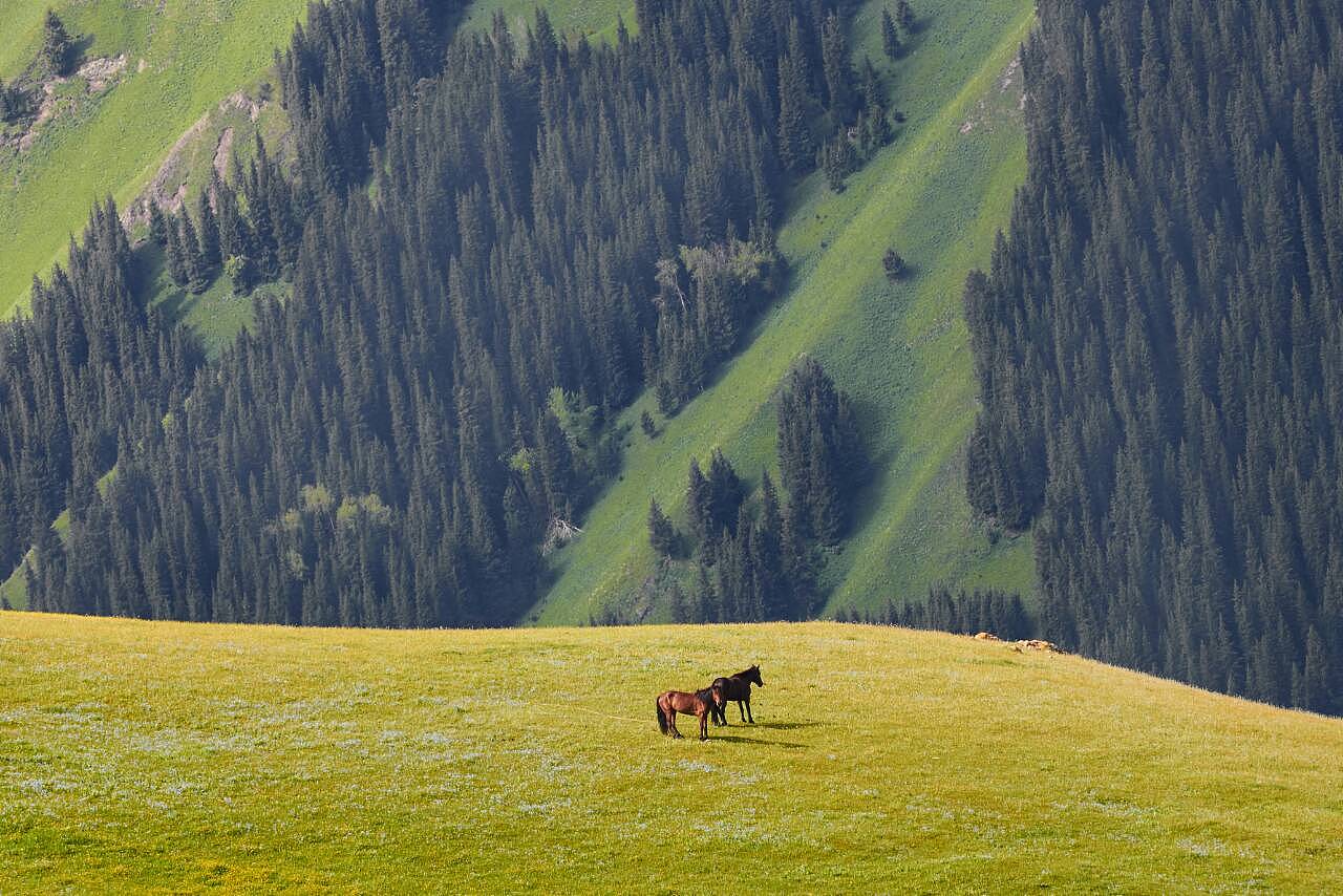 新疆,友情与家的温暖甜蜜日常