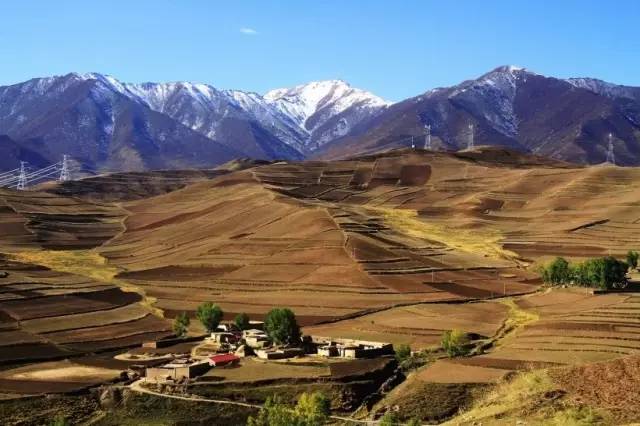 甘肃盛会,尊敬的领导与朋友们共襄盛举