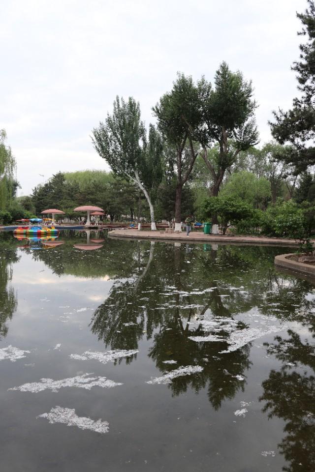 阜新，历史文化与现代发展的多维探析